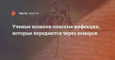 Ученые назвали опасные инфекции, которые передаются через комаров