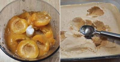 Домашнее мороженое с абрикосами без перемешивания и ощущения снега или льда - skuke.net