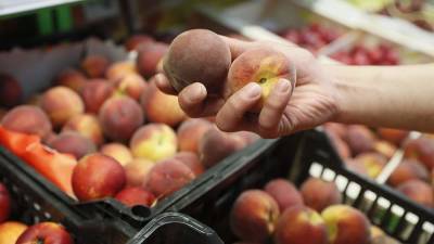 Агроном рассказал о методах выбора вкусных персиков