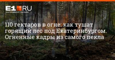 110 гектаров в огне: как тушат горящий лес под Екатеринбургом. Огненные кадры из самого пекла