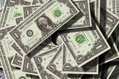 Александр Осин - Финансисты назвали самые выгодные для инвестирования валюты - lenta.ru - Китай - США