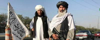 Талибы избили в Кабуле британскую семью