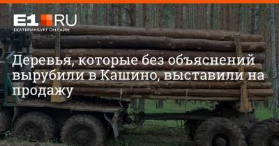 Деревья, которые без объяснений вырубили в Кашино, выставили на продажу