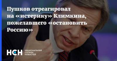 Пушков отреагировал на «истерику» Климкина, пожелавшего «остановить Россию»