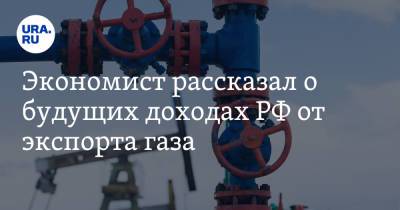 Экономист рассказал о будущих доходах РФ от экспорта газа