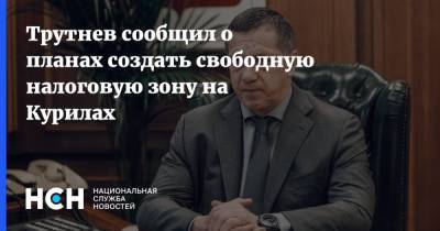 Юрий Трутнев - Трутнев сообщил о планах создать свободную налоговую зону на Курилах - nsn.fm - Россия - окр. Дальневосточный