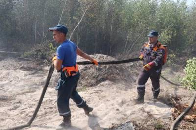 В поселке Стеклянный Нижегородской области из-за лесного пожара сгорело 11 домов