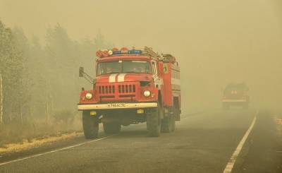 За сутки площадь лесных пожаров в Марий Эл увеличилась в 7,5 раз