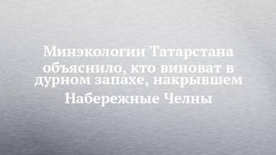 Минэкологии Татарстана объяснило, кто виноват в дурном запахе, накрывшем Набережные Челны