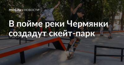 В пойме реки Чермянки создадут скейт-парк