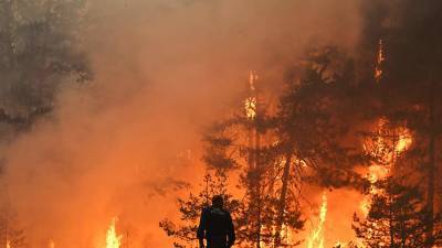 Пожар из Мордовского заповедника уничтожил 11 домов в нижегородском поселке