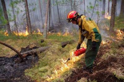 Смог от лесных пожаров снова повис над Екатеринбургом