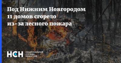 Под Нижним Новгородом 11 домов сгорело из-за лесного пожара