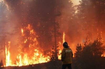 Лесной пожар уничтожил 11 домов в нижегородском поселке