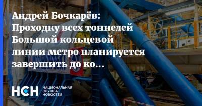 Андрей Бочкарёв: Проходку всех тоннелей Большой кольцевой линии метро планируется завершить до конца года