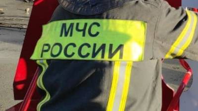 Пожар в поселке в Нижегородской области уничтожил 11 домов