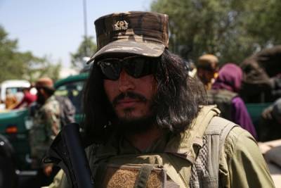 СМИ узнали о планах талибов представить новую систему управления
