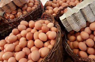 Производство яиц на птицефабриках упало на 24%