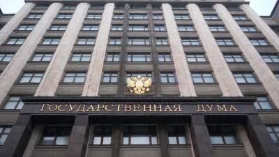 В Госдуме прокомментировали отказ Киева Молохову в регистрации на саммит «Крымская платформа»