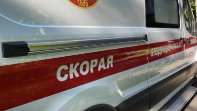 Крупное ДТП с восемью пострадавшими произошло в Нижегородской области