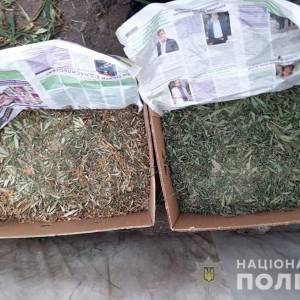 У жителя Запорожской области изъяли 7 кг марихуаны. Фото