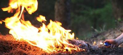 Жителям Карелии разрешили разжигать костры в лесах