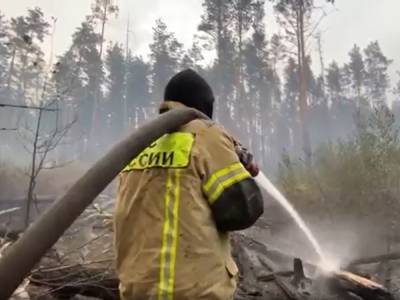Поселок Стеклянный сгорел при переходе пожара из Мордовии