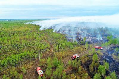 Жилые дома в огне: природные пожары бушуют в селе под Нижним Новгородом