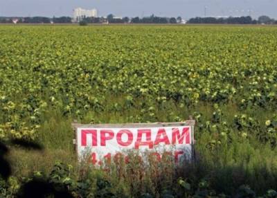 «Значит будут грабить»: земельная реформа убьет «украинскость» Украины