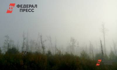 Екатеринбург окутал смог от лесных пожаров