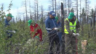 В Якутии стартовала Всероссийская акция «Сохраним лес»