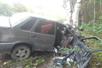 Сегодня утром в ДТП погибла пассажирка вылетевшей в кювет Лады