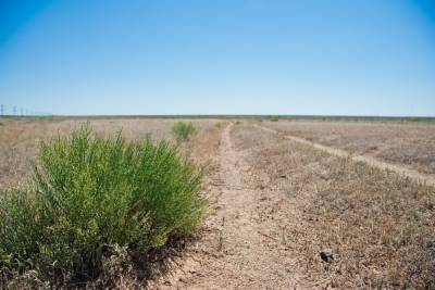 В Астраханской области решают вопросы опустынивания почв