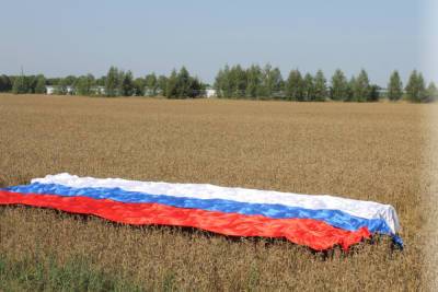 В Нижнеломовском районе на поле растянули Российский триколор - mk.ru - Нижний Ломов