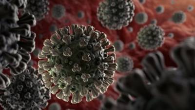 Прямо в мозг: Исследователи показали на видео, как коронавирус распространяется в организме