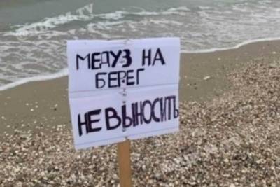 Туристам запретили вытаскивать медуз на берег в Кирилловке