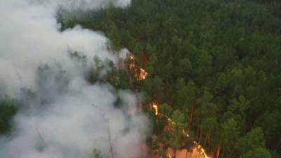 От Калифорнии до Иерусалима, лесные пожары становятся глобальной угрозой
