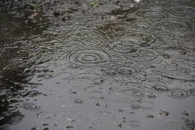 В Рязанской области объявлено грозовое метеопредупреждение