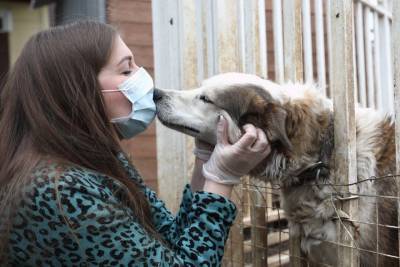 Москвичам рассказали, как приюты помогают животным обрести новый дом