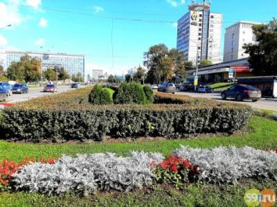 В 2021 году в Перми высадили более 2,5 миллионов цветов