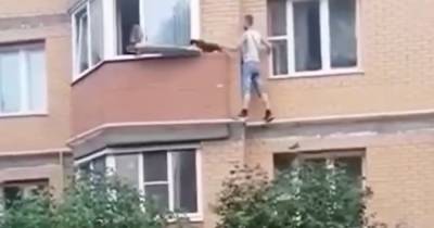 Россиянин залез по газовой трубе на второй этаж и спас котенка