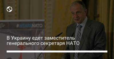 В Украину едет заместитель генерального секретаря НАТО