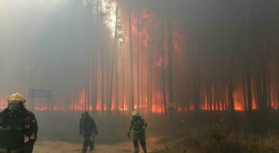 Площадь лесных пожаров в Марий Эл продолжает расти