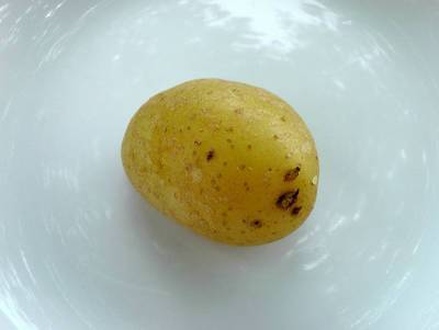 Кардиолог объяснила, почему есть картошку каждый день опасно
