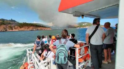 Огонь не оставляет Турцию в покое: пожар вспыхнул на острове возле Стамбула