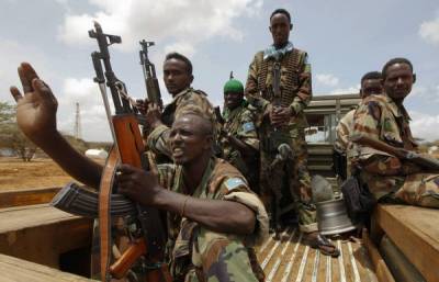 Арабский военный историк предложил надежный способ решения проблем Сомали