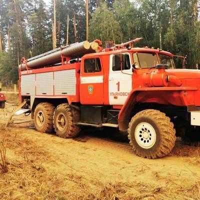 Пожар в Мордовском заповеднике угрожает четырем населенным пунктам Нижегородской области