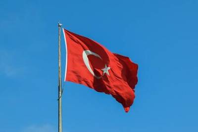 Эрдоган захотел увеличения поставок газа по «Турецкому потоку»