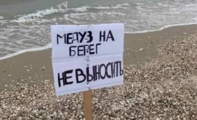 В Кирилловке туристам запретили выносить медуз на берег