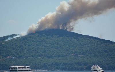 На одном из островов возле Стамбула вспыхнул лесной пожар